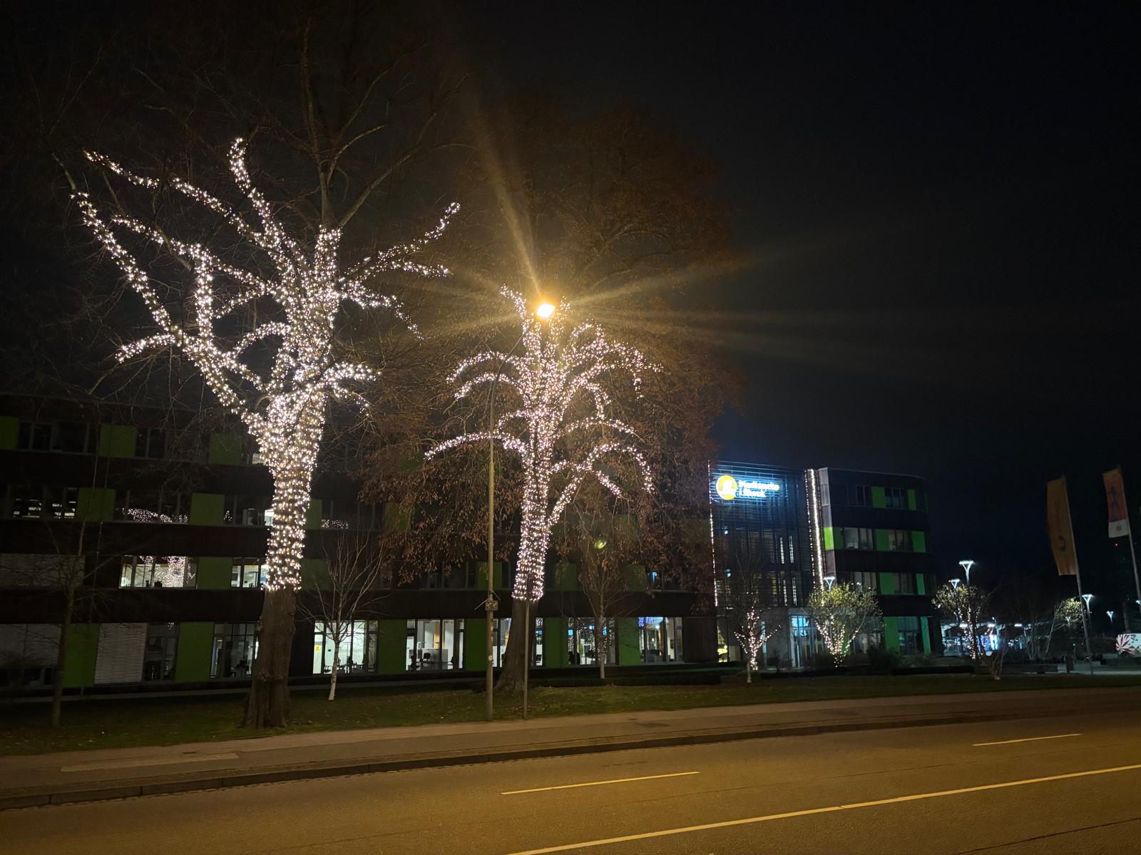 Baumbeleuchtung Stadtwerke Lübeck