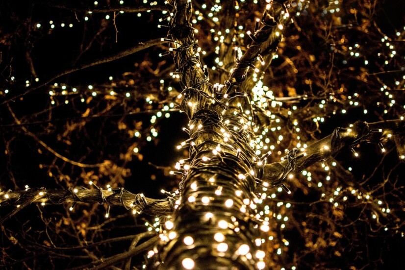 Die Schmücker  Weihnachten: Bäume, Lichtmotive & Deko