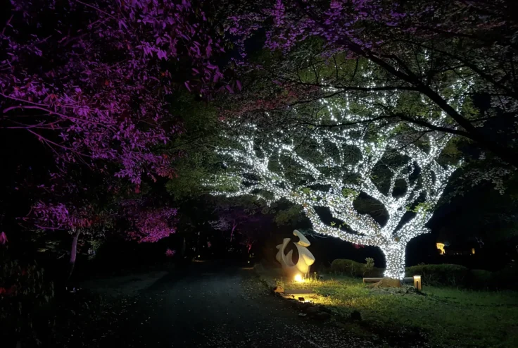 baum illumination mit mitwachsende lichterkette