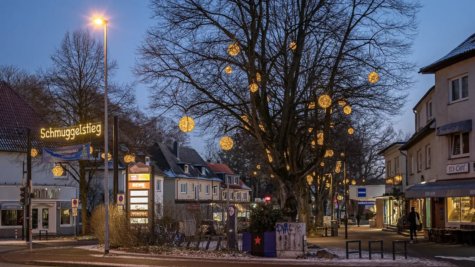 professionelle baumbeleuchtung