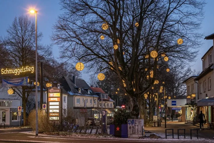 professionelle baumbeleuchtung