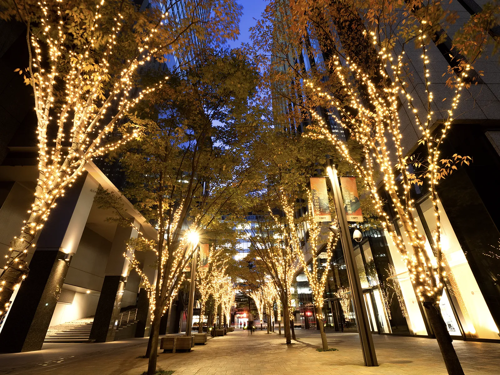 mitwachsende lichterkette