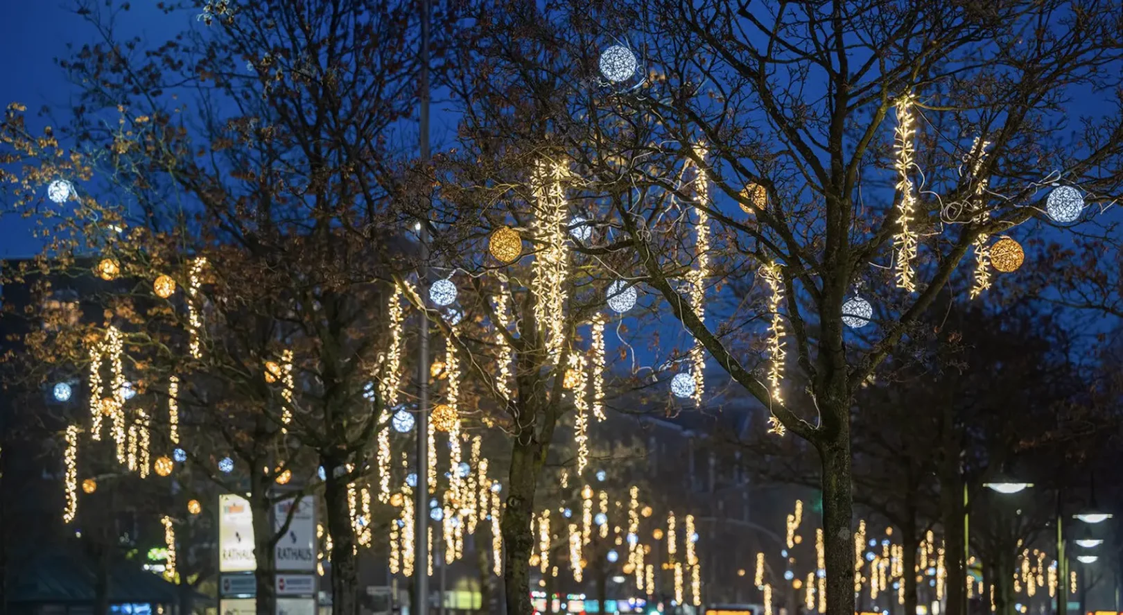 Die Schmücker, professionelle Baumbeleuchtung außen mit nachhaltigen Organic Kugeln in der Stadt Norderstedt, Schleswig-Holstein