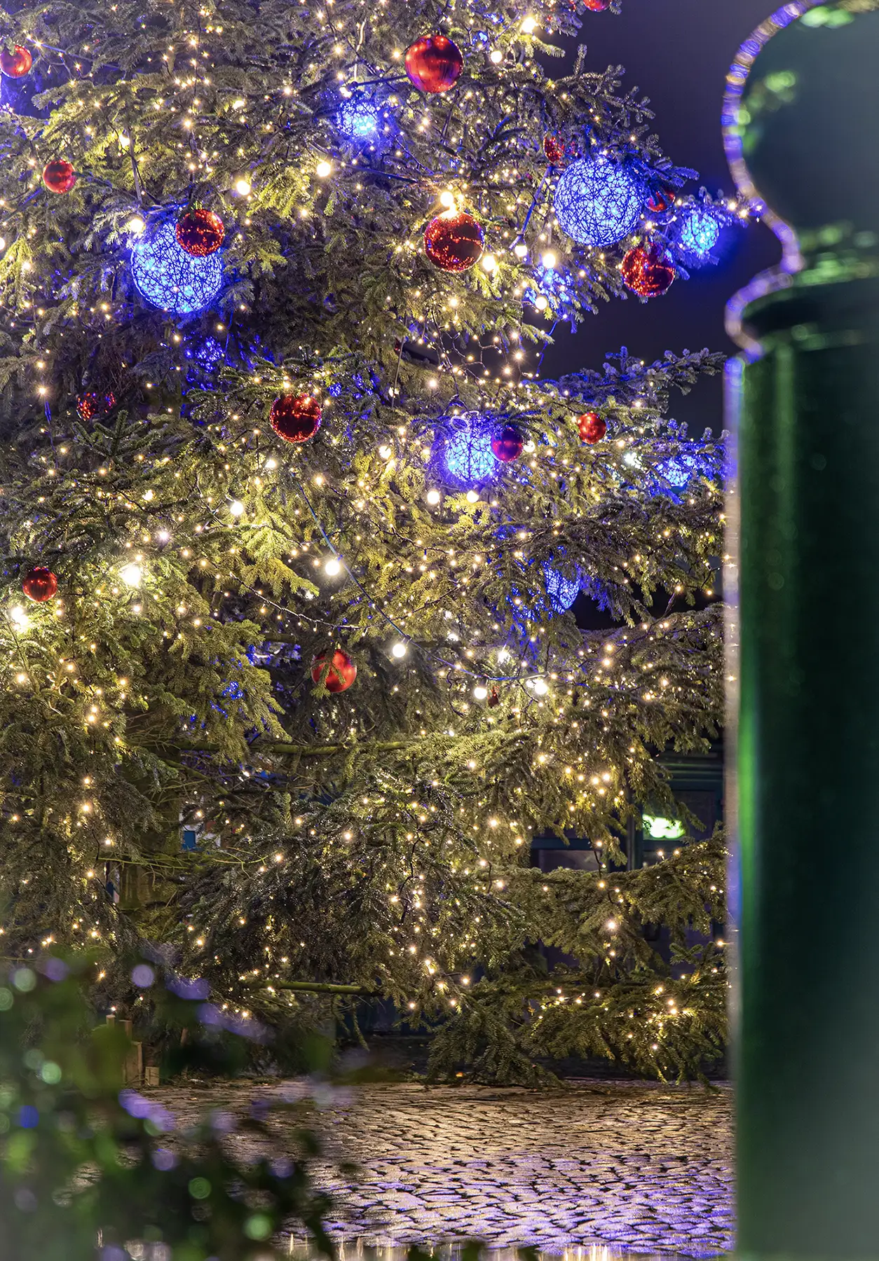 Die Schmücker, professionelle Baumbeleuchtung außen in der Stadt Norderstedt, Schleswig-Holstein