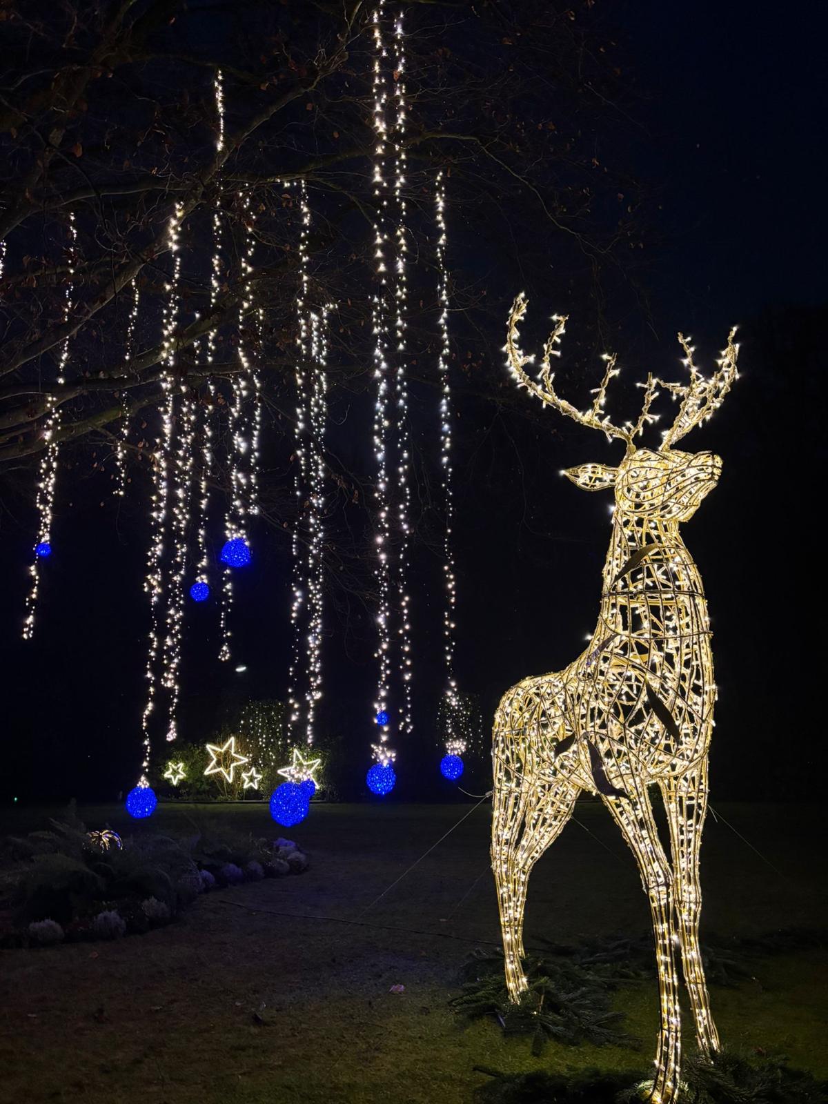 Professionelle Weihnachtsbeleuchtung Hamburg Wellingsbüttel