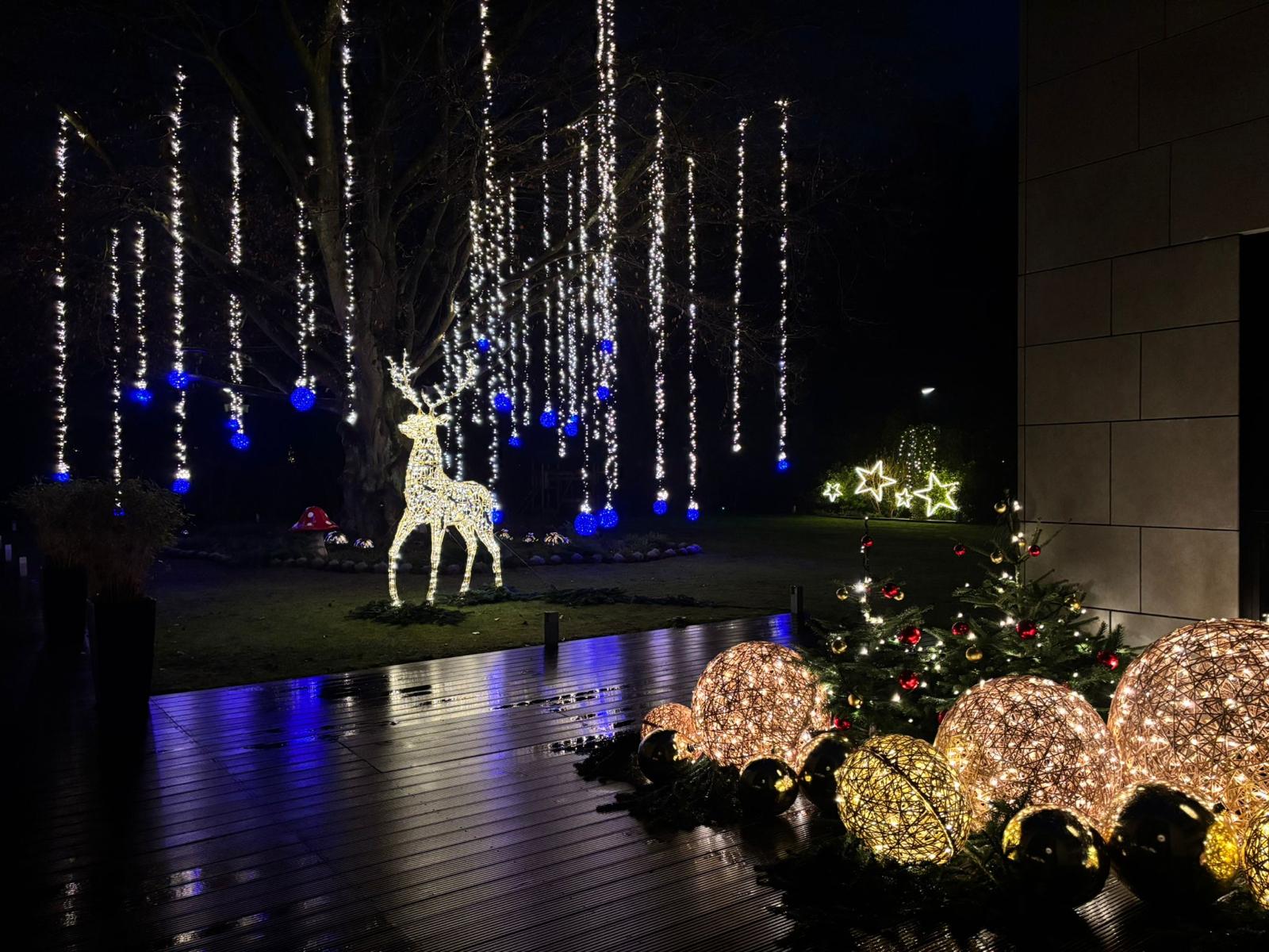 Professionelle Weihnachtsbeleuchtung Hamburg Wellingsbüttel