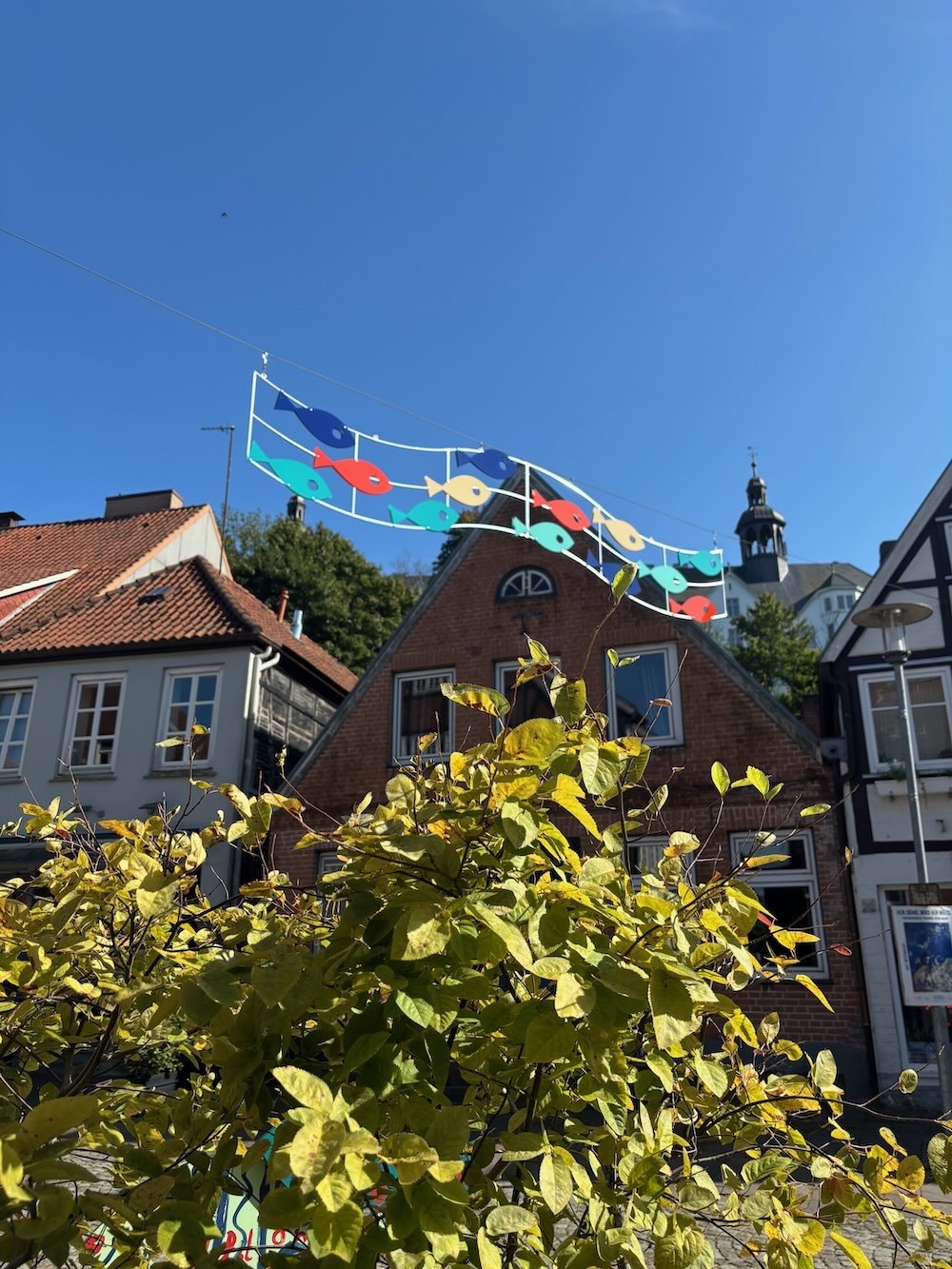 Sommerdekoration Plön Innenstadt 2025